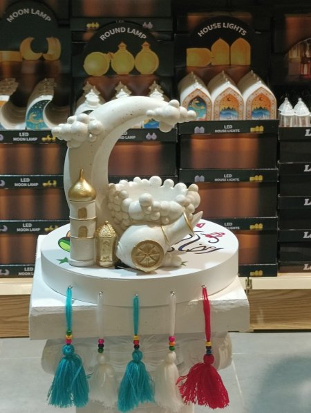 مضيفه جبصين